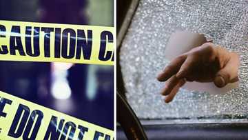 Viral video shows 8 men commit smash and grab in just 60 seconds