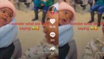 Cuteness overload as 2 infants chat up a storm in video, Mzansi tries to figure out what they're saying