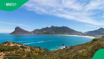 "Flights are high": Costs of flying from Joburg to Cape Town vs Durban vs PE
