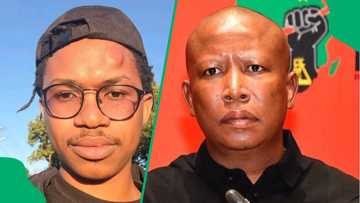 Julius Malema wants blogger Musa Khawula jailed or fined R150 000