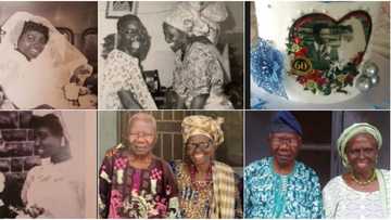 Couple celebrates 60th wedding anniversary, many are inspired as cute photos light up social media
