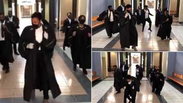 NPA filmed doing Jerusalema challenge at court: "Lawyers have rhythm"