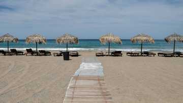 EU blocks Booking takeover of Swedish travel group