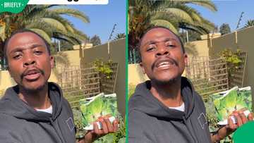 "I love these growing tips": SA gardener shares 5 veggies South Africans should plant in winter