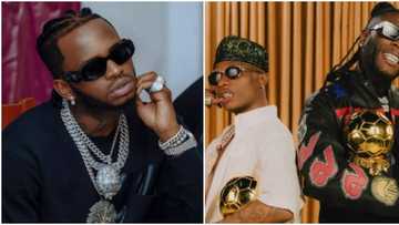 Diamond Platnumz shades Nigerian stars, says Wizkid is Drake boosted and calls Burna Boy P Diddy’s protégé