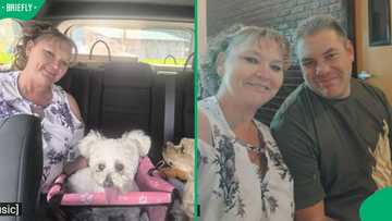 “Are they African American now?”: SA refugees reunite with pet in US, Mzansi reacts