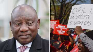 Mzansi fed up with upsurge in corruption, losing faith in Cyril Ramaphosa