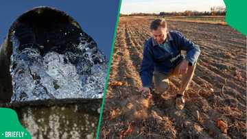 Green drop report 2025: South Africa’s water crisis could fuel food insecurity