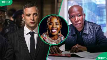 Ntsiki Mazwai compares Oscar Pistorius and Julius Malema's firearm discharge cases