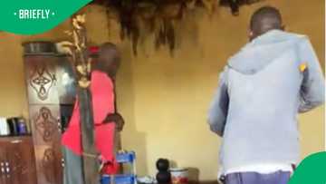 Men face and run from suspected black mamba in TikTok video