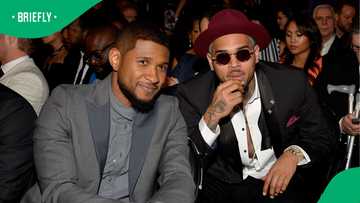 Chris Brown and Usher scrap 4 concerts weeks before Brown’s UK sentencing