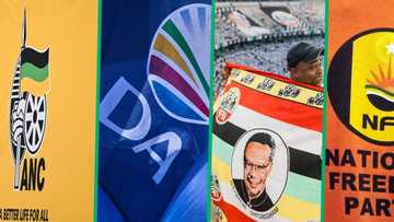 ANC, DA, IFP, and NFP join forces in KZN coalition and SA has mixed emotions