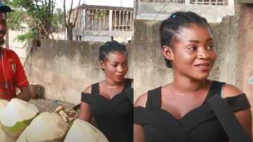 Young lady says she's unashamed to help her man sell coconut on the street
