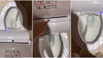 Social media reacts to video of fine toilet seat that brings out nylon from its side