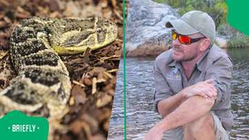 "Right place, right time": Lucky farmer dodges deadly puff adder’s venom
