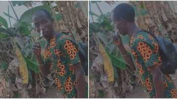 He's so shy: Moment man stops young lady to woo her but doesn't know what to say goes viral, she records him