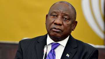 Farmgate: President Cyril Ramaphosa says stepping aside could imply police interference in farm theft probe