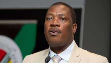 Lesufi: Orania must fall, town does not belong in a democratic SA