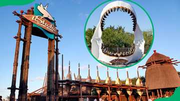 uShaka Marine World: latest fees, aquarium, operating hours, animals, photos