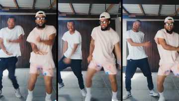 "This is fire": Friends create #Swalala dance challenge and invite peeps to participate, Saffas absolutely love it