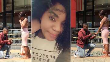 KFC proposal spotted in Newcastle, Mzansi swoons: 'Another one for the books'
