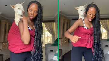 Woman dances with dog on her back in TikTok video, Mzansi viewers crack jokes