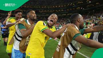 Bafana Bafana receive a hero's welcome as hundreds pack OR Tambo after historic World Cup run