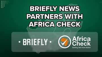 Briefly News Partners with Africa Check to Fight Election Misinformation