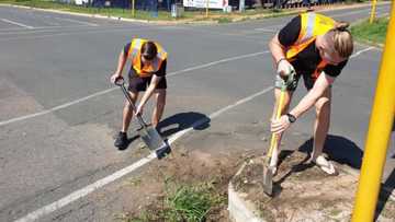 Exasperated Joburgers grab bull by horns, fill up potholes themselves