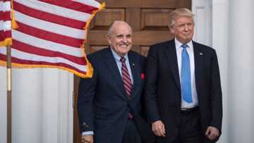 Michael Cohen thinks Rudy Giuliani will throw Trump under the bus