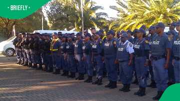 Operation Shanela: SAPS Has Arrested 16,000 Suspects Since the Start of December