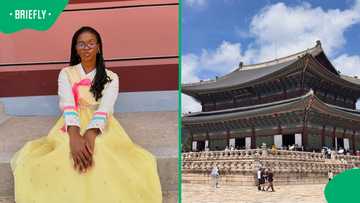 “Totally worth every cent”: Abo Mgidlana’s two-week South Korea budget breakdown