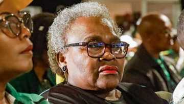 Minister Tolashe to face parliament over fresh ‘state-funded nanny’ allegations