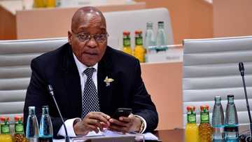 Jacob Zuma released on medical parole, foundation welcomes news