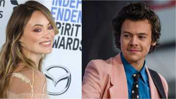Harry Styles and Olivia Wilde hold hands as dating rumours swirl