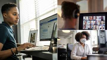 Business News: People feel isolated as connections in the typical workplace shrink