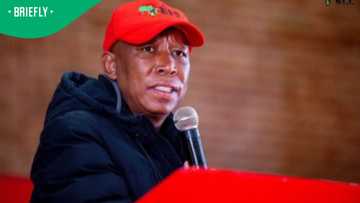 Julius Malema claims “political prisoner” status, denies comparing Fadiel Adams to Steve Biko