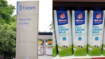 Eskom: R16.9 million spent on milk, most costly consumable of 2019/20