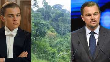Leonardo Dicaprio: Actor calls on Ghana to keep Atewa Forest safe