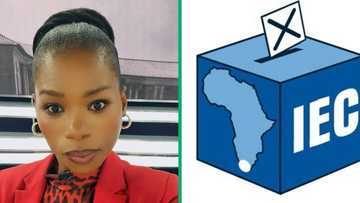 Independent candidate Anele Mda criticises the lack of electoral funding