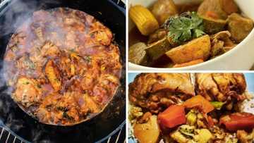 Best Potjiekos recipes chicken in South Africa: small pot food for everyone