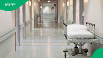 Gauteng health set to underspend R725 million in 2025-26 budget