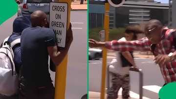 "Cape Town wind will embarrass you": SA reacts to videos of bad Mother City weather