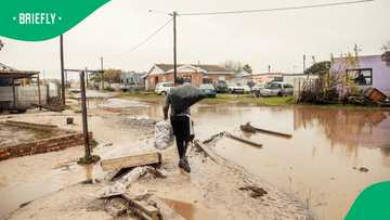 Over 150,000 Western Cape residents left homeless after devastating flood ravages province