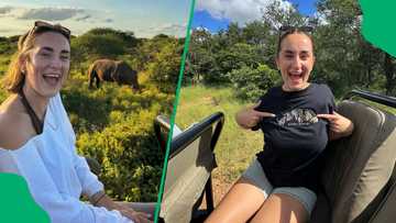 "One of the most famous road trips in the world": Tourist shares full Garden Route itinerary