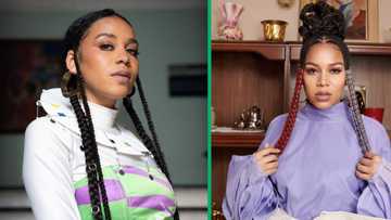 Mzansi parents panic as Sho Madjozi debuts her new hairstyle: "Sisi, you don't like peace"