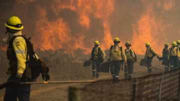 Cape Town fires: Overwhelming support pours in to help UCT students