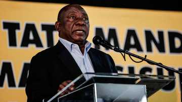 Step aside rule has not been implemented for Ramaphosa since there are no formal criminal charges, says ANC