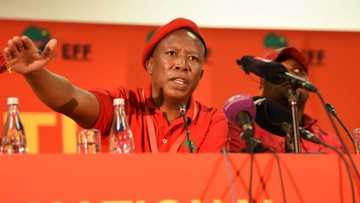 Julius Malema's stern New Year's message: We don’t want you to die