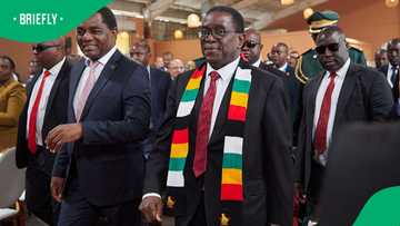 Zimbabweans rerturning home will not receive special treatment: Emmerson Mnangagwa